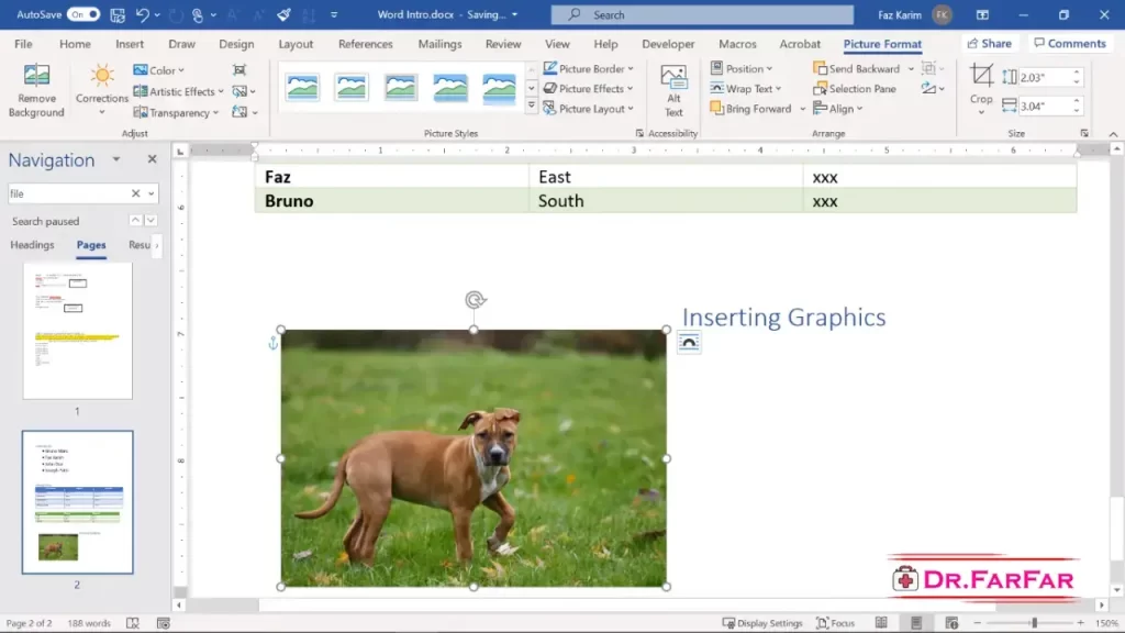 Ms Word Download